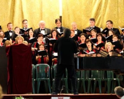 2011 (4)